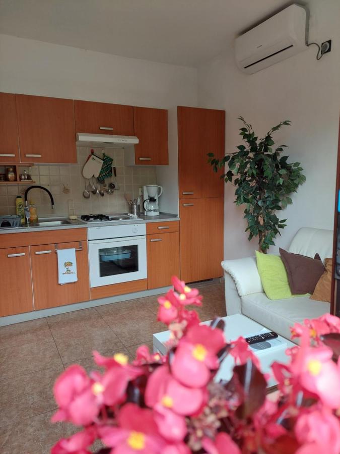 Apartman Gina Labin  Buitenkant foto